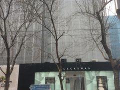 -BLACKSWAN黑天鹅(环球店)