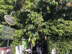 门面-Fern Forest Cafe