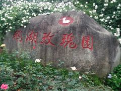 -鹅湖玫瑰文化园