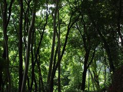 -白云山风景名胜区