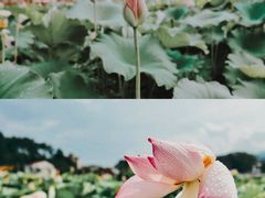 -小洞天柴火土菜馆