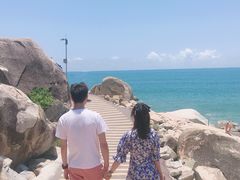 -广东惠东海龟国家级自然保护区