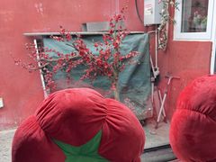 -毛辣果红酸汤火锅·冰煮羊涮肉(西单店)