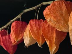 -懒人盐府人家(安贞店)