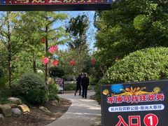 -上海长兴岛郊野公园