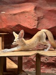 -Zoolung Zoolung动物主题公园(海信广场店)