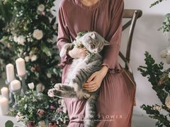 -INSDREAM FLOWER 鲜花预定·花艺培训