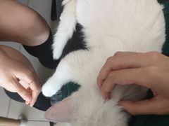 -平行世界·猫咖(首经贸店)