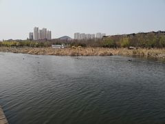 -前关湿地公园