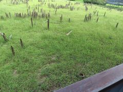 -河姆渡遗址博物馆