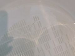 -上海嘉定喜来登酒店
