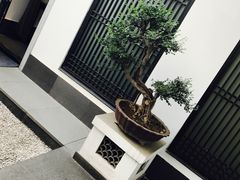 -稍可轩博物馆餐厅