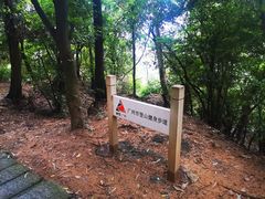 -火炉山森林公园