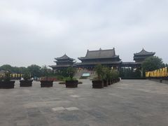 -大槐树寻根祭祖园