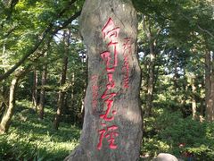 -庐山风景区花径公园