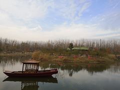 -合肥滨湖国家森林公园