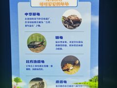 -太平洋海底世界