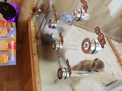 -珠海海泉湾神秘岛亲子乐园