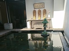 -觀芷隐轩