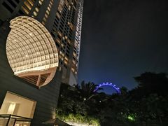 -新加坡丽思卡尔顿美年酒店