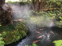 -Chom Cafe and Restaurant