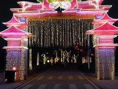 -武汉园博园(武汉自然博物馆)