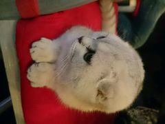 android_upload_pic-MIKAKU(万达广场上海宝山店)