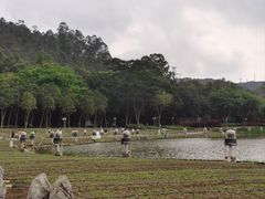 -顺峰山公园