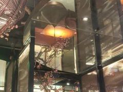 -老板恋上鱼(高新万达店)