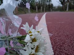 -白鹭湾湿地公园