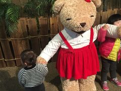 -济州岛泰迪熊博物馆