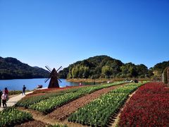 -广州市石门国家森林公园