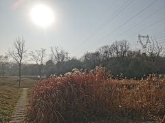 -佛手湖郊野公园