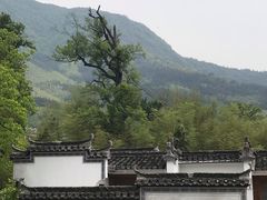 -塔川景区