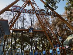 -上海共青森林公园