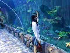 -华夏文旅海洋公园