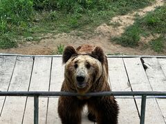 -宿豫区运河湾森林动物园