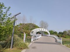 -同里国家湿地公园