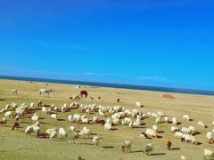 -青海湖国家重点风景名胜区