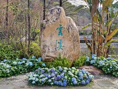 -云溪植物园
