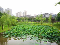 -沐仙湖湿地公园