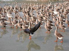 -泰安地下龙宫景区