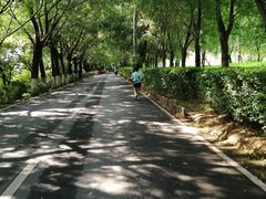 -长白岛森林公园