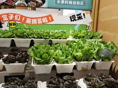 -九孔·筒骨莲藕汤锅(大明宫万达店)