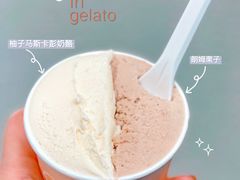 柚子马斯卡彭奶酪-Dip in Gelato(富民路店)