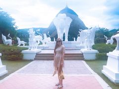 -清迈夜间动物园