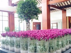 iphone_upload_pic-苏州环秀晓筑养生度假村