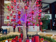 -上海圣淘沙万怡酒店
