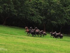 -广州雕塑公园