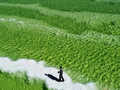 -察尔汗盐湖